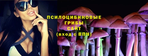 дмт Заволжье