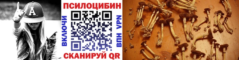 Псилоцибиновые грибы ЛСД Давлеканово